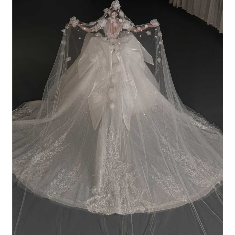 Luxuriöses Brautkleid mit V-Au – Embroidery Organza Bewertung und Preis
